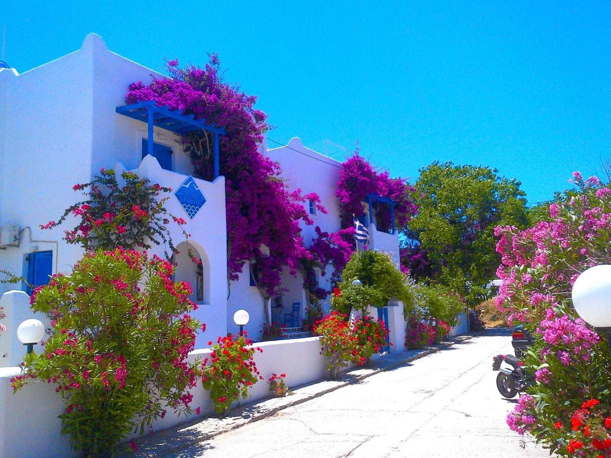 Pelagos Studios Paro Esterno foto