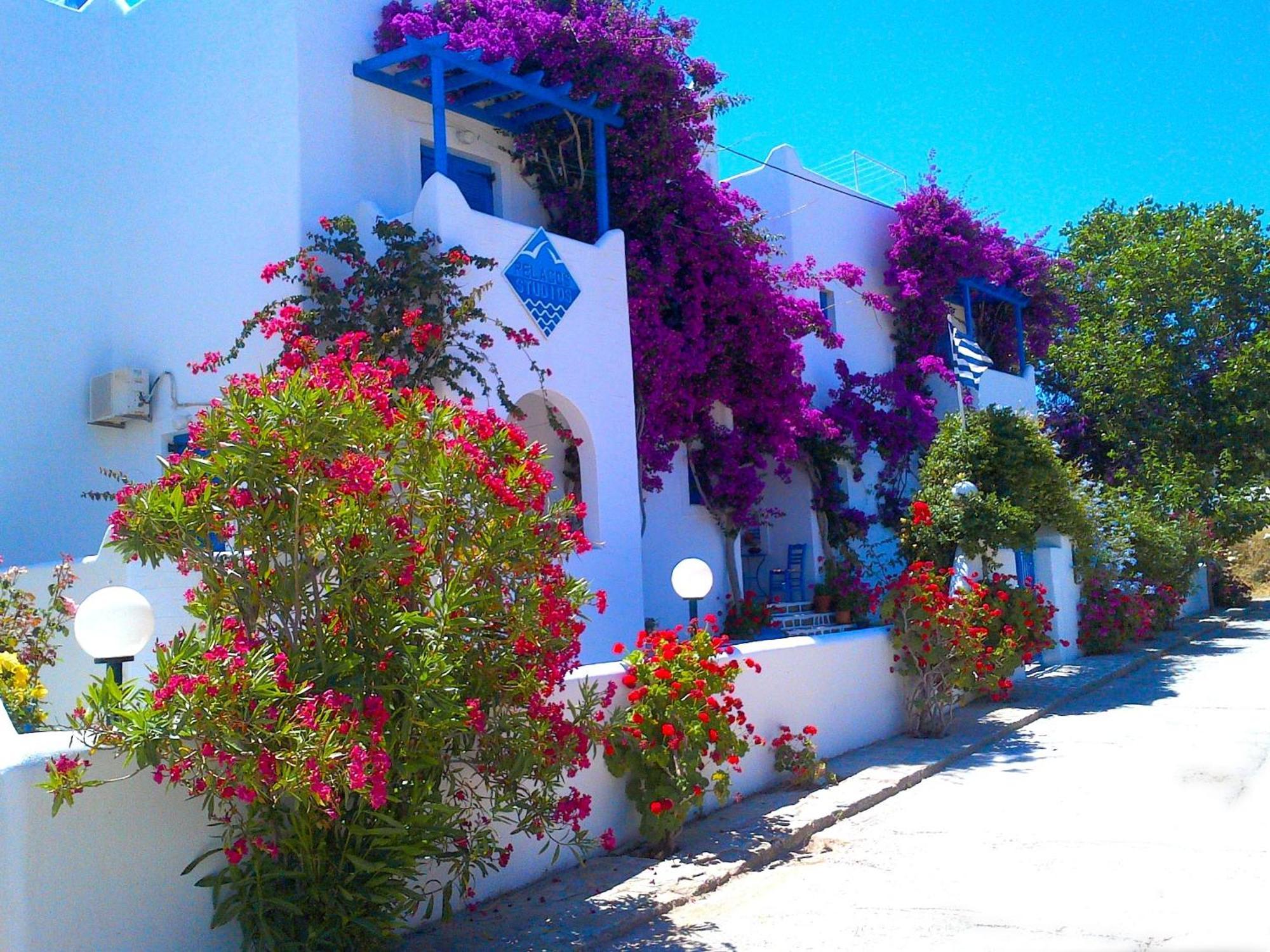 Pelagos Studios Paro Esterno foto